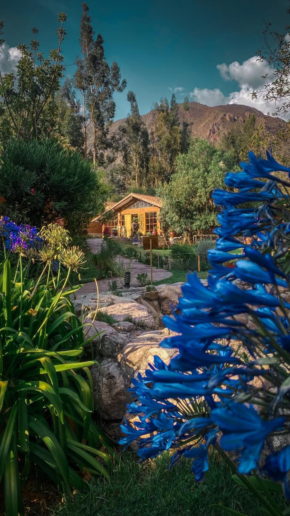 Andean Wings Valley Urubamba Eksteriør bilde