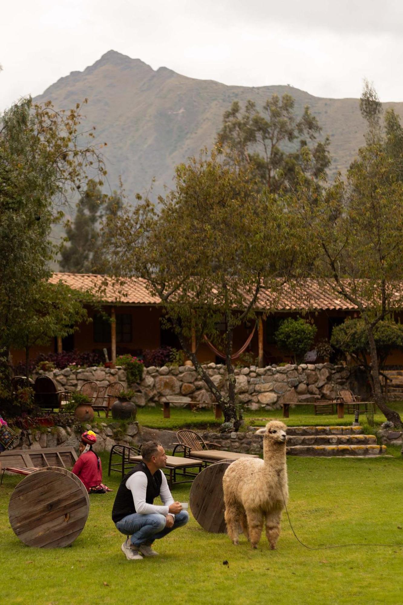 Andean Wings Valley Urubamba Eksteriør bilde